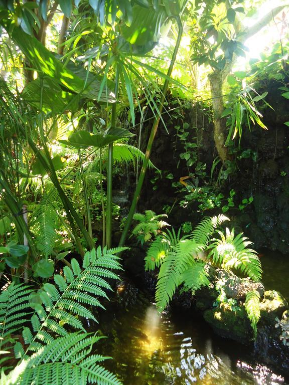 Yulia Village 3* Ubud